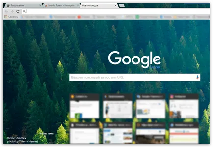 Teme pentru Google Chrome