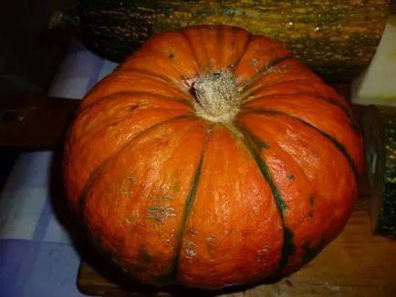 plantare de dovleac și de îngrijire