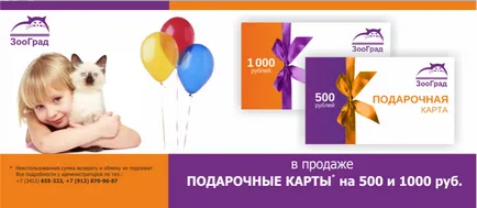 Produse pentru pisici, magazin pentru animale de companie zoograd on-line