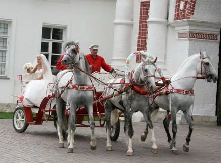 tradiția rusă de ritualuri de nuntă și obiceiurile poporului (rusă) tradiția rusă de ritualuri de nuntă și obiceiurile poporului