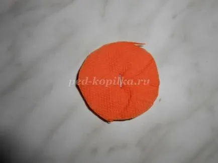 Topiara de tampoane mâini clasa lui de master, cu fotografii și video de selecție