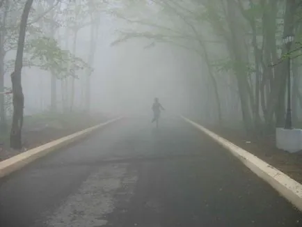 Descriere Fog, cauze, tipuri (foto) (picaturi mai mari) Descriere Fog, cauze, tipuri (fotografii)
