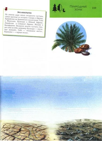 deșert tropical