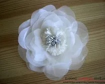 Decorați accesoriul original, coafura în formă de floare făcută cu propriile sale mâini, destul de (floare) Decorați accesoriul original, coafura în formă de floare făcută cu propriile lor mâini, mai degrabă