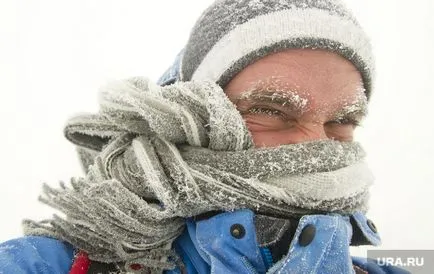 Scientist înghețurile severe în Urali cauzate de încălzirea globală (Urali) Scientist înghețurile severe în Urali din cauza încălzirii globale