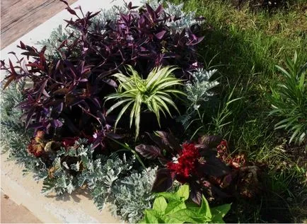 Aflați cum să proiecteze o floare de pat alegerea locației, dimensiunea, tipul de pat de flori, lista de plante, plan, schiță, (cum ar fi) Aflați cum să proiecteze o floare de pat alegerea locației, dimensiunea, tipul de pat de flori, lista de plante, plan, schiță,