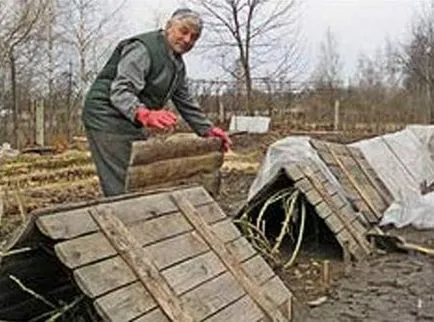 trandafiri adăpost pentru iarnă cel mai bine cum să-și petreacă adapostirea trandafiri dat grad