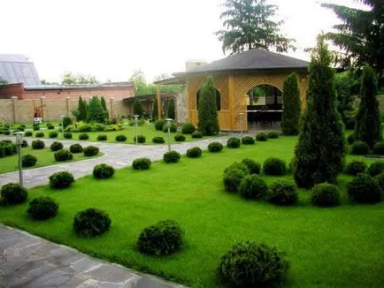 Thuja în design peisagistic - mai ales astfel de roci (similare) Tuya în Landscape Design - caracteristici cum ar fi pietre