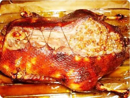 Duck din maneca - rață rețete maneca lui - cum să gătească rață (rață) Duck din maneca - rață rețete maneca lui - cum să gătească rață