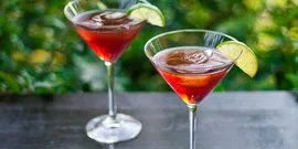 Cinzano Vermouth - care este mai bine, bianco sau video rosso, nalivali