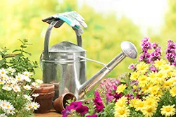 Cultivarea flori ca un capital de start-up de afaceri, rentabilitatea (flori cultivarea cultivarea plan de afaceri cu efect de seră) Cultivarea flori ca un capital de start-up de afaceri, rentabilitatea