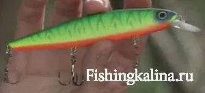 crankbaits Minnow (minnow) - răspunsuri la întrebări cu privire la constatările lor pescari