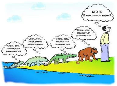 Zicători, citate si aforisme despre viata