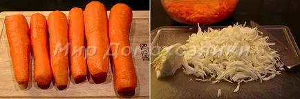 Delicios rețetă de familie varză acră, Housewives lume