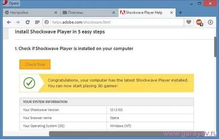 Restabilesc eșec flash player shockwave în operă, probleme de calculator