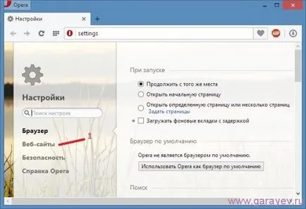 Restabilesc eșec flash player shockwave în operă, probleme de calculator