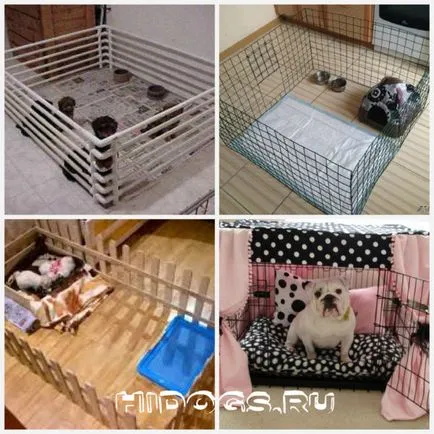 Carcasă pentru câini de talie mică în conținutul caracteristici apartament (caracteristici) Carcasă pentru câini de talie mică în apartament include conținut