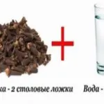Pine ace proprietăți utile și rețete contraindicații și recenzii (ace) Ace de pin proprietăți utile și rețete contraindicații și recenzii