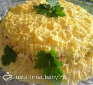 Pierde salate gustoase in greutate)) de pe sistemul - 60, eticheta de sistem, maioneza, minus (pierde în greutate) Pierde salate gustoase in greutate)) de pe sistemul - 60, eticheta de sistem, maioneza, minus