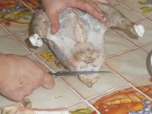 Sacrificarea pui, cum să hack și macelaresc pui