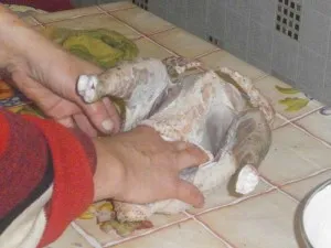 Sacrificarea pui, cum să hack și macelaresc pui