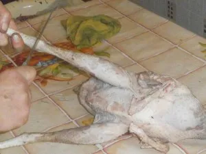 Sacrificarea pui, cum să hack și macelaresc pui