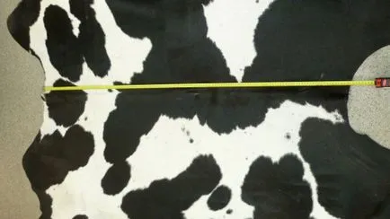Vaca sacrificare tăiere, disecție, ucidere (tăiere) vaci de sacrificare tăiere, deschizând o cale de a ucide