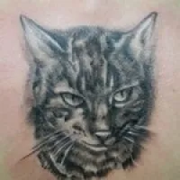 Înțeles pisică tatuaj