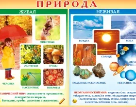 Animați și natura neinsufletite a conceptelor, exemple și diferențele (vii) Animați și natura neinsufletite a conceptelor, exemple și diferențele