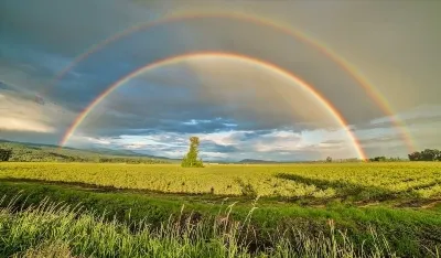 Ochelarii de soare subliniază perfect forma feței