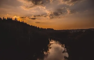 Salata de poiana padurii cu ciuperci reteta si foto, video