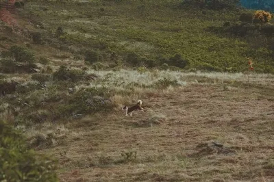 Jocuri de nunta si concursuri