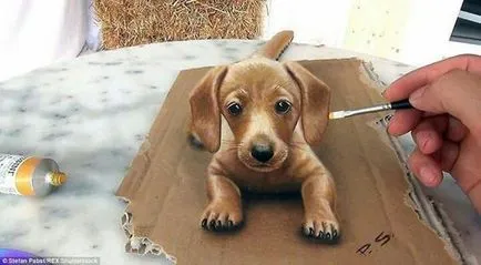 100 cele mai bune idei desene 3D pe hârtie cu un creion în fotografie