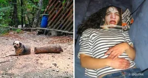 10 celebrități care s-au făcut toate
