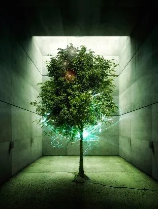 12 Legea naturală, sau cum să păstreze energia vitală