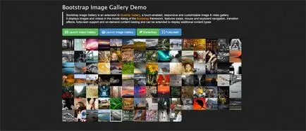 18 galerii de imagini adaptive