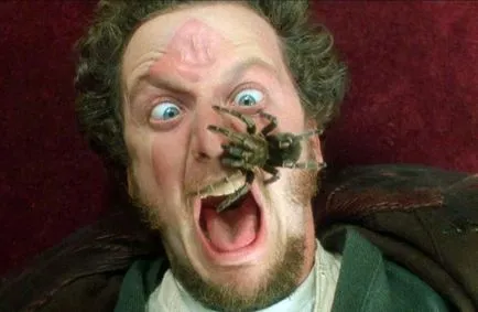 15 Date despre „Home Alone“ - ce să vezi