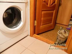 3 moduri de a curăța mașina de spălat