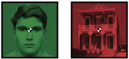 5 cercetare psihologică asupra percepției de informații vizuale