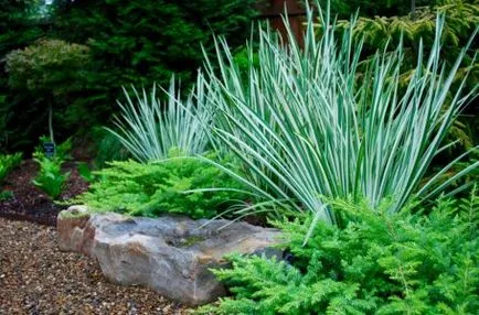 8 Secretele plasează plante într-un design complot gradina () (microclimat în grădină) 8 Secretele plasează plante într-un design complot gradina ()