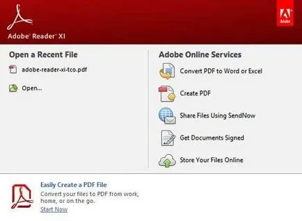 Adobe Reader xi ce fel de program, oameni de calculator
