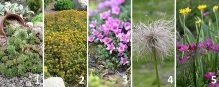 Alpine aluneca mâinile sale - instrucțiuni pas cu pas și fotografii