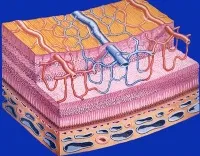 angiopatie retiniana - tipuri, cauze, simptome, metode de diagnostic și tratament (angiopatie) Retiniana angiopatie - tipuri, cauze, simptome, diagnostic si metode de tratament