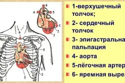 simptome aortic boli de inima si tratament