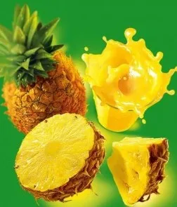 Descriere Ananas, compoziția și utilizarea