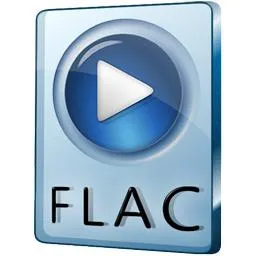 Formate audio tipuri și descrieri