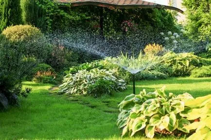 udare automată pentru zona suburbană cu mâinile lor (lor) udare automată pentru zona suburbană cu mâinile lor