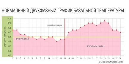 Temperatura bazala - cum să măsoare, desen eșantionului și interpretarea rezultatelor (temperatura) temperaturii bazale - modul în care să se măsoare, grafice de eșantionare și rezultatele decodificare