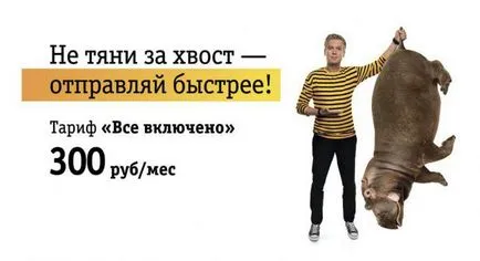Beeline, rata de toate cele 300 de comentarii, descrieri, conexiune (tarif Beeline pentru toate 300 comentarii despre cum să dezactivați rata pentru toate cele 300 de toate beeline beeline 300 modul de conectare) Beeline, rata de toate cele 300 de comentarii, descrieri, conexiune