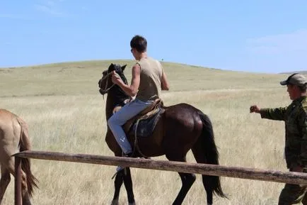 Rularea cal (mers) mers pe jos, trap, galop